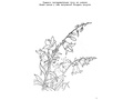 Тетрадь для общения и развития детей "Луговые цветы" Тетрадь для общения и развития детей "Луговые цветы"